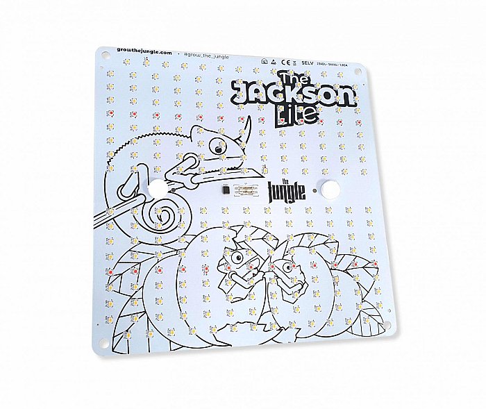 LED osvetlenie Jackson Lite 100W LT full spectrum