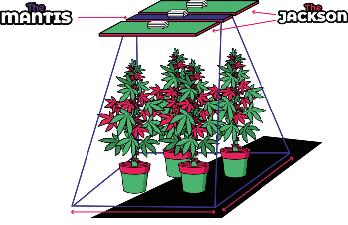 LED osvetlenie Jackson The Mantis 25W UV