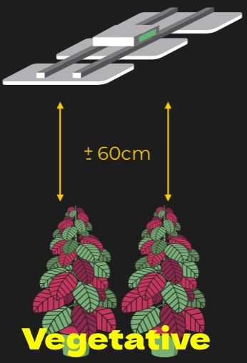 LED osvetlenie Jackson The HYDRA 600W NEMESIS Full Spectrum