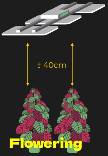 LED osvetlenie Jackson The HYDRA 600W NEMESIS Full Spectrum