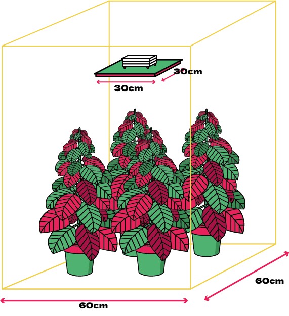 LED osvetlenie Jackson Lite 100W LT full spectrum