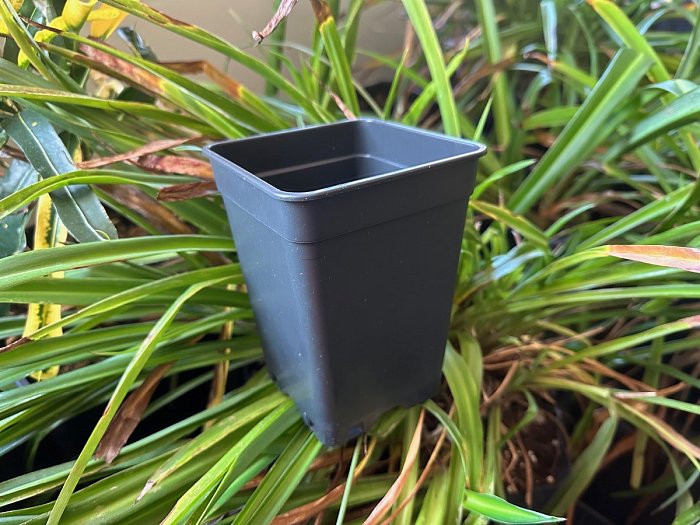 Kvetináč 1 liter - 10x10x14 cm