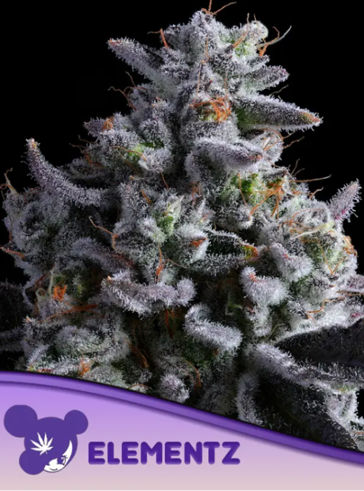 Anesia - Elementz 3ks