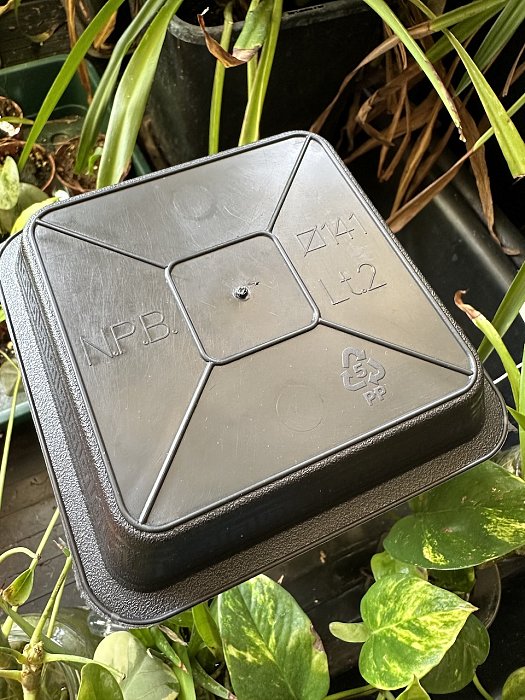 Miska pod kvetináč hranatá 14x14cm