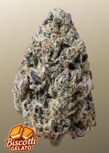 Fast  Buds  Biscotti Gelato FEM 1ks