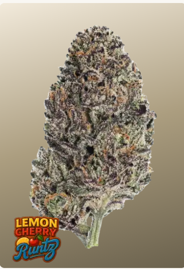Fast Bud Lemon Cherry Runtz FEM 1ks