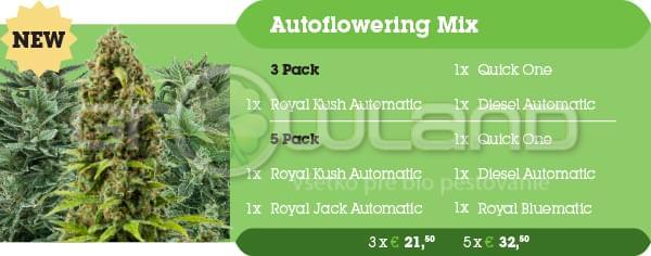Autoflowering Mix 3 ks fem.