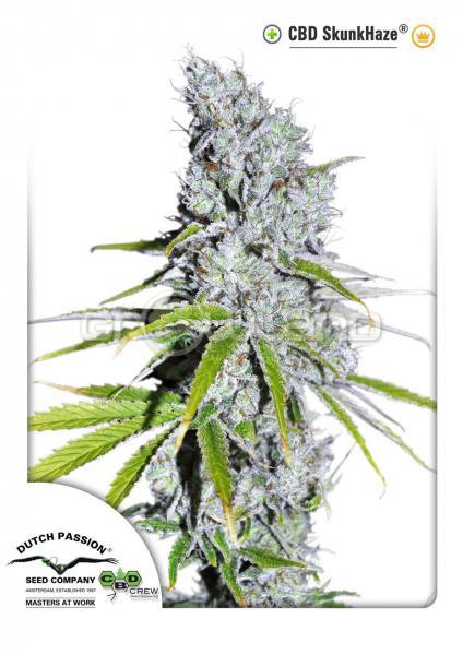 DP CBD Skunk Haze 5 ks Fem.