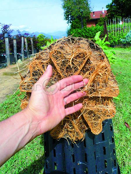 Kvetináč Ercole - 7,5 litra