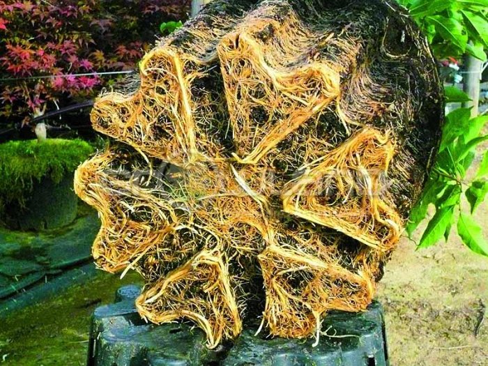 Kvetináč Ercole - 7,5 litra