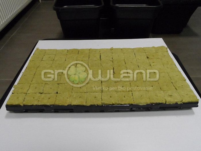 Multipláto : sadbovač + 84 ks čadičové kocky 4x4x4cm