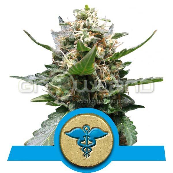 Royal Medic 1 ks, Fem.