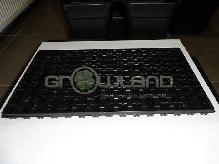 Sadbovač pre Grodan kocky 2,5x2,5x4cm - 150 buniek