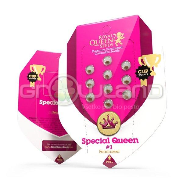 Special Queen # 1 - 3 ks Fem.