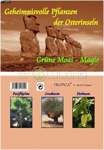 Tajuplné rastliny z Vianočného ostrova  - kolekcia semien  AKCIA  -30%