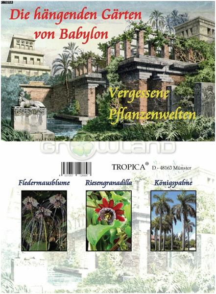 Visuté záhrady Babylonu - kolekcia semien   AKCIA   -30%